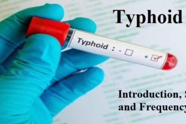 Typhoid Fever 